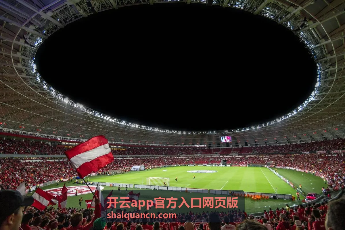开云app官方入口网页版团队协作使用场景示意