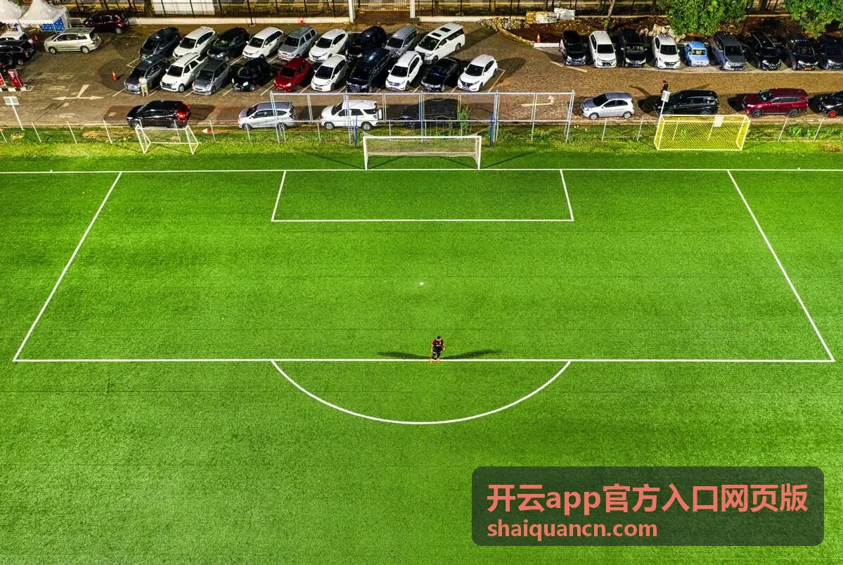 开云app官方入口网页版常见问题与帮助配图